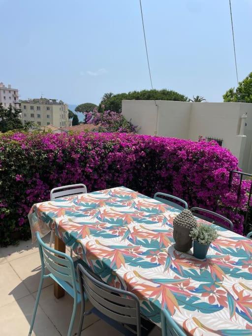 Vila Maison Avec Jardin Tropical A 5 Minutes De La Croisette Cannes Exteriér fotografie